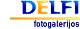 DELFI